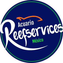 Logo Reefservices