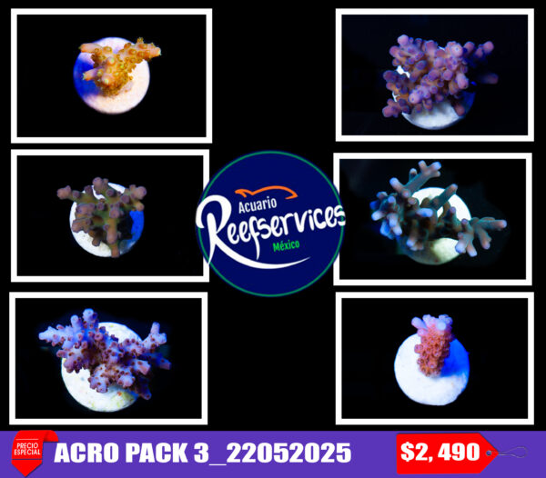 ACRO PACK 3_22052025