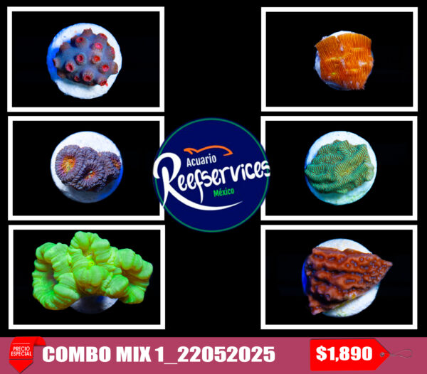 COMBO MIX 1_22052025