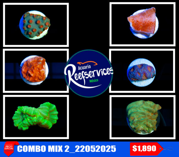 COMBO MIX 2_22052025