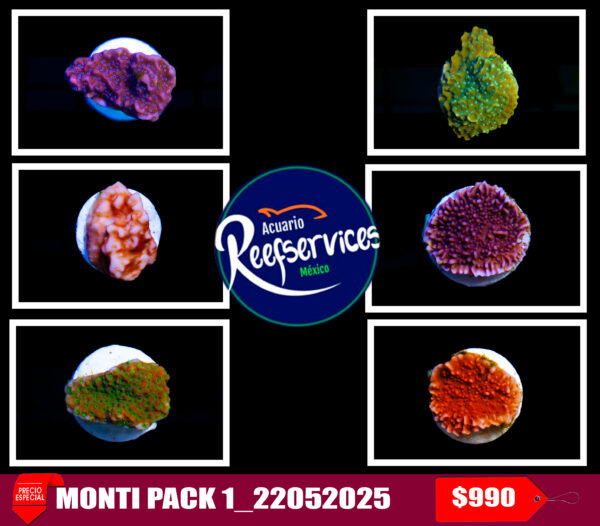 MONTI PACK 1_22052025