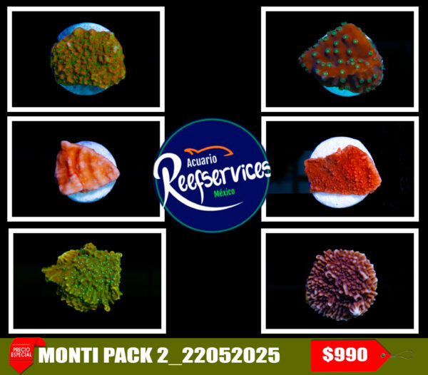 MONTI PACK 2_22052025