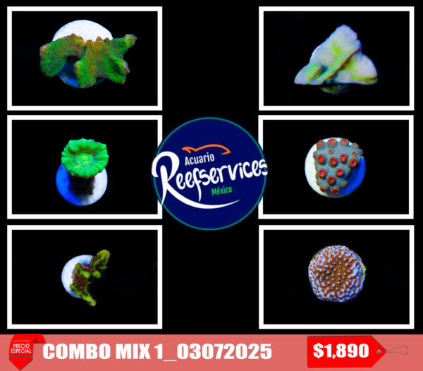 COMBO MIX 1_03072025