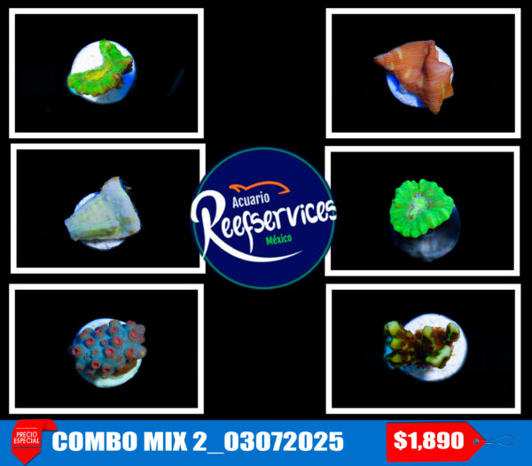 COMBO MIX 2_03072025
