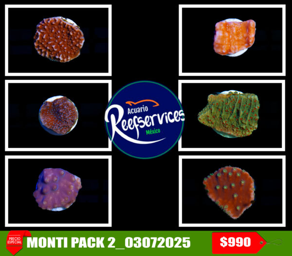 MONTI PACK 2_03072025