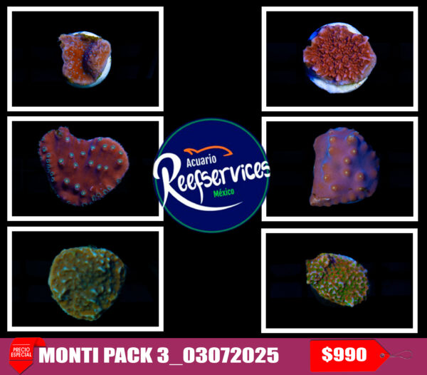 MONTI PACK 3_03072025