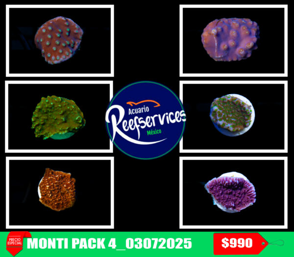 MONTI PACK 4_03072025